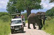 Amboseli National Park Full Day Guided Tour