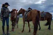 Genghis Khan Statue, Horse Riding & Cultural Adventure(Full-Day) 