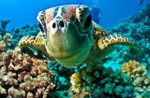 From Hurghada: Sharm El Naga Full-Day Snorkeling Tour 