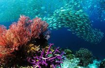 From Hurghada: Sharm El Naga Full-Day Snorkeling Tour 
