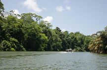 3-day Tortuguero Expedition 