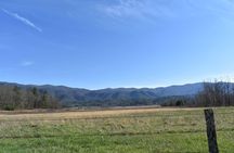 Cades Cove Sightseeing Bus Tour from Pigeon Forge