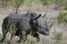 3 Days Masai Mara Joining Tour