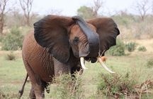 9 Days Kenya Tanzania Joining Tour 