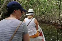 Cartagena : Boquilla and Mangroves Canue Ride (Also for Cruisers)