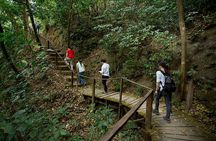 SUPER COMBO BUENA VISTA: 7 Activities 1 day + Cultural experience