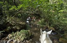 SUPER COMBO BUENA VISTA: 7 Activities 1 day + Cultural experience