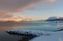 Norwegian Fjords Tour, Including Professional Photos in Tromso