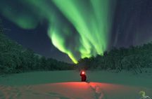 Northern Lights Tour Including Photos Under the Lights in Tromso
