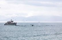 Mendenhall Glacier Visitor Center and Ultimate Whale Watch Combo