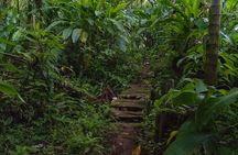 Half Day Grenada Wonders Tour