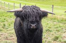 Balmoral Castle Tour From Inverness