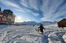 All-inclusive. Winter tour to Georgia for 6 days (Gudauri)