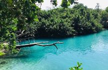 Port Vila Full Day Tour - Experience the Real Vanuatu