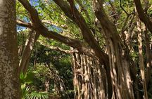 Bermuda Railway Trail and Off The Beaten Path Walking Experience