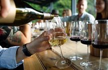 Private Wine Tours of Niagara and more