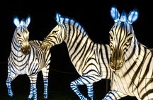 Bronx Zoo Holiday Lights Admission Ticket 