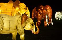 Bronx Zoo Holiday Lights Admission Ticket 