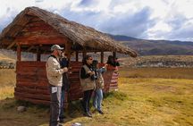 Birdwatching at Huacarpay Wetland in Cusco