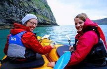 Sunrise wildlife sea kayaking in Akaroa marine reserve