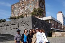 Dia completo PRIVADO, Frida Kahlo, Coyoacán, Xochimilco y Murales de la UNAM. 