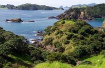 Phantom Sailing Bay of Islands