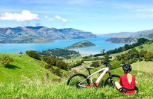 Lava Loop- Guided electric mountain bike tour in Akaroa
