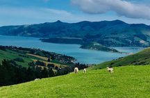 Lava Loop- Guided electric mountain bike tour in Akaroa