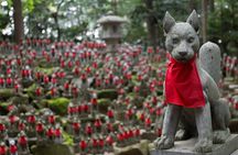 Nagoya Half-day Private Custom Tour with National Licensed Guide