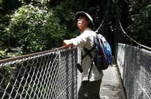 Mistico Park Hanging Bridges Guided Tour in La Fortuna
