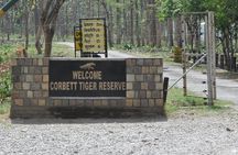 2 Nights Stay at Dhikala Zone in Jim Corbett National Park