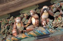 Nikko Full-Day Private Tour with Government-Licensed Guide