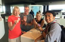 Hiroshima Peace (Heiwa) Walking Tour at World Heritage Sites