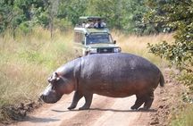 2 Days in Akagera National Park 