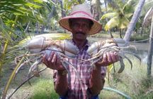 Kumbalangi Village Sightseeing Tour