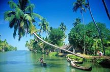 Kumbalangi Village Sightseeing Tour