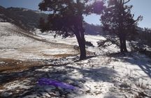 Dayara Bugyal Himalayan Trekking and Camping