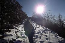 Dayara Bugyal Himalayan Trekking and Camping
