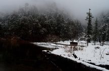 Dodital Himalayan Trek and Camping