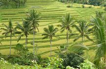 Bali Iconic Tour
