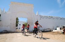 Bike oil tour in Monopoli