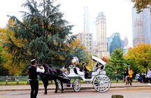NYC Central Park Horse Carriage Ride (Up to 4 Adults)