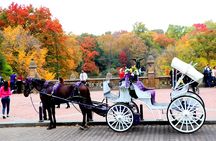 NYC Central Park Horse Carriage Ride (Up to 4 Adults)