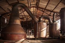 Hampden Estate Rum Tour and Lunch from Falmouth