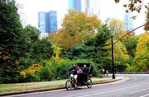 Central Park, Rockefeller & Times Square Pedicab Tour 
