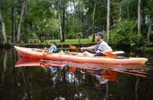 Lofton Creek Kayaking Trip with Professional Guide