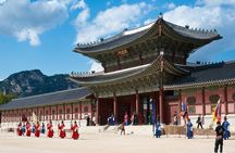 Small-Group Royal Palace and Seoul City Tour (hotel pick-up)