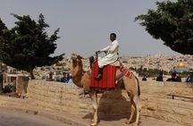 Private day trip to the Old City of Jerusalem