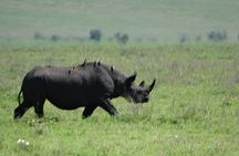 3 Days Safari to Tarangire NP, Ngorongoro Crater and Lake Manyara NP