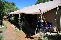 Maasai Mara Under Canvas 3 Days Safari